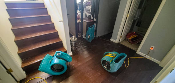 Best Basement water damage restoration  in Middlesex, NJ