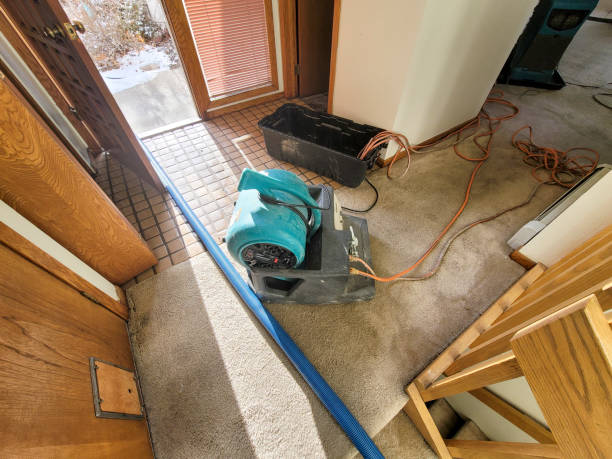 Best Flood restoration services  in Middlesex, NJ