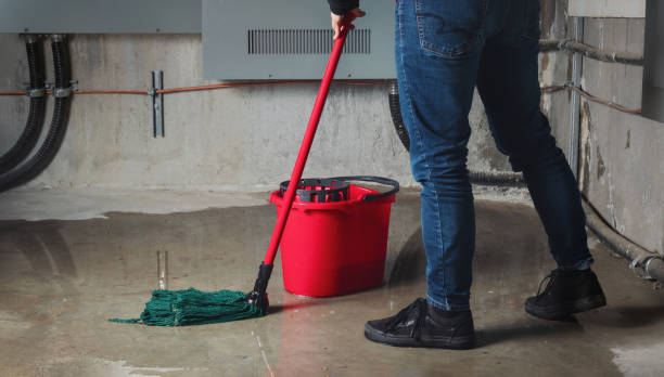 Best Flood damage cleanup  in Middlesex, NJ