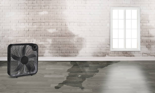 Best Residential water damage restoration  in Middlesex, NJ