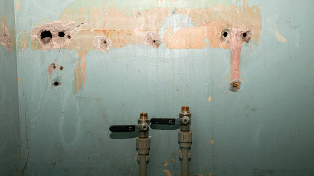 Best 24/7 water damage repair  in Middlesex, NJ