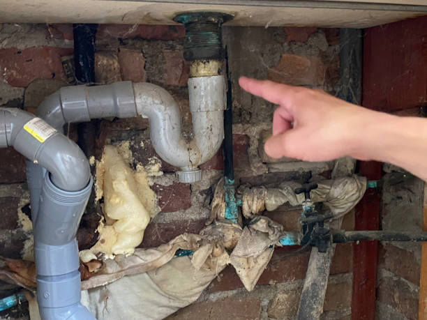 Best Ceiling water damage repair  in Middlesex, NJ